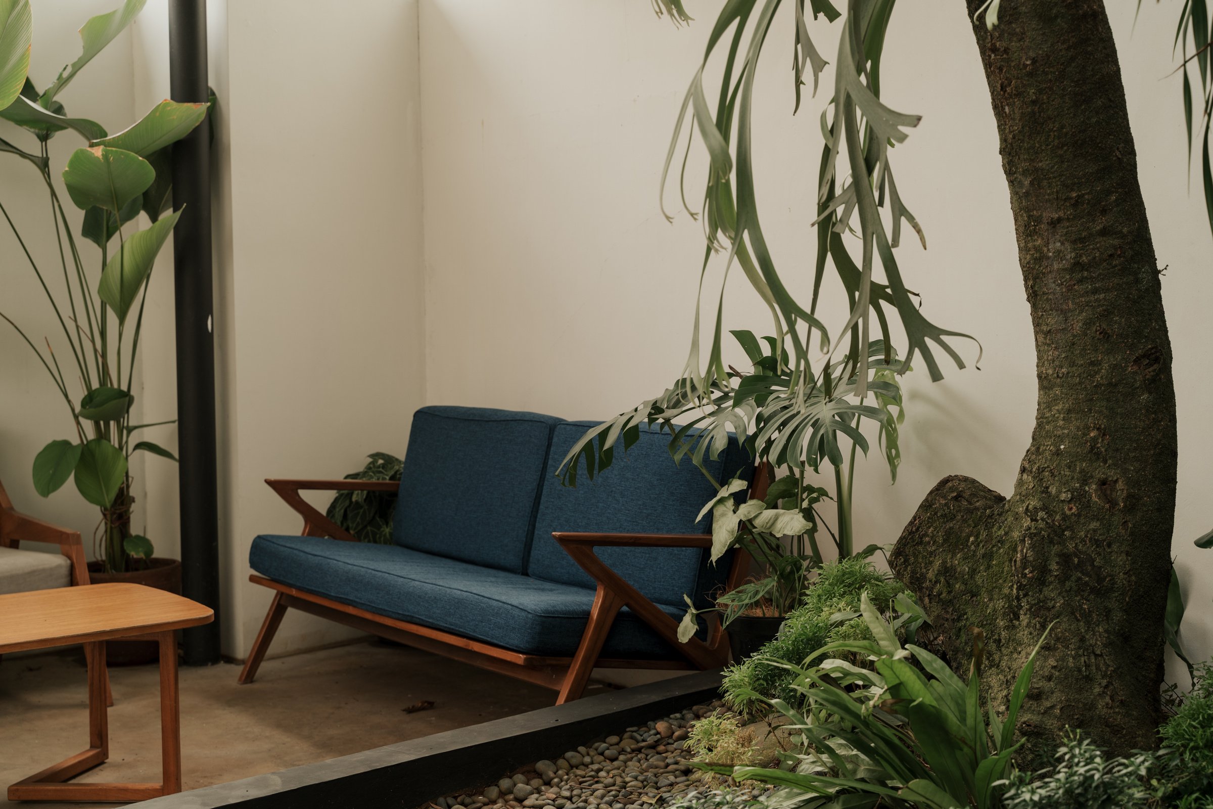 Sofa and Plants in a Patio